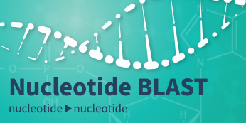 序列相似性搜索必备神器——BLAST，下载及使用教程！